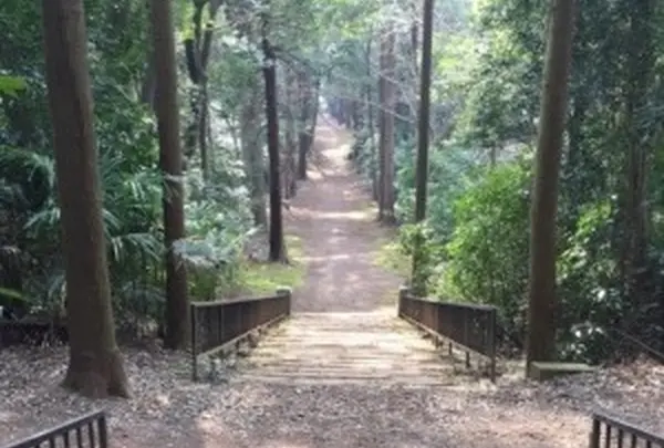 安楽寺 (元三大師）