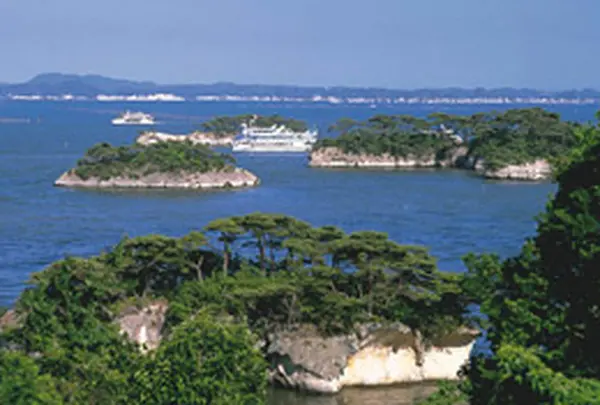松島島巡り遊覧船