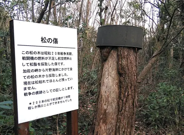 戦争遺構がこんなところに…