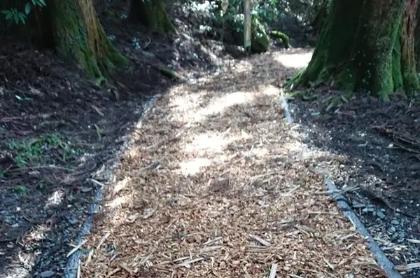 ウッドチップの遊歩道