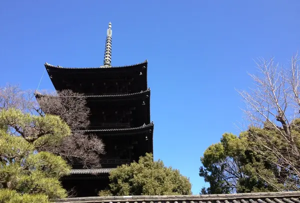 東寺②