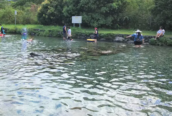 東岳湧泉