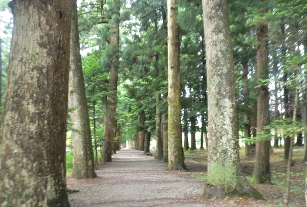 眼目山立山寺（通称さっかのてら）