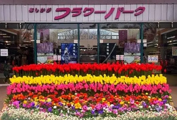 あしかがフラワーパークの写真・動画_image_226142