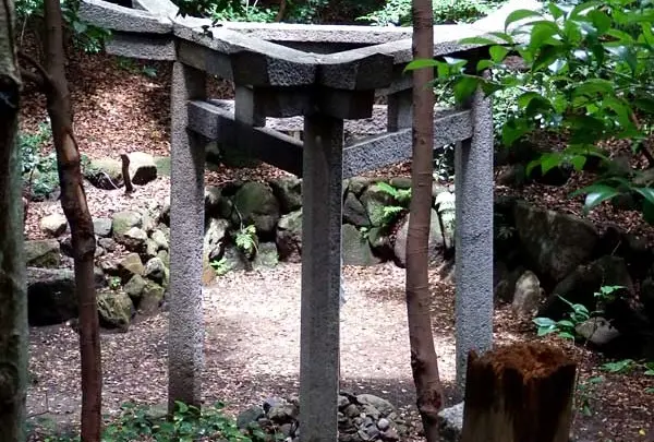 蚕ノ社駅の写真・動画_image_65149