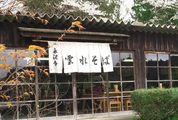 永沢寺花しょうぶ園の写真・動画_image_74253