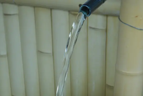 伏見七名水・白菊水（しらきくすい）