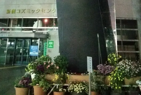 入り口周りのお花に癒されて。