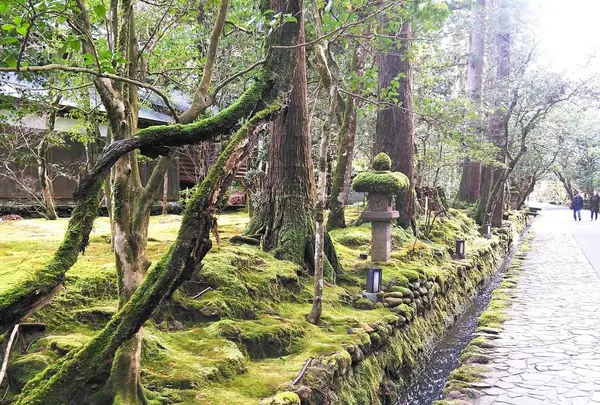 那谷寺の写真・動画_image_342406