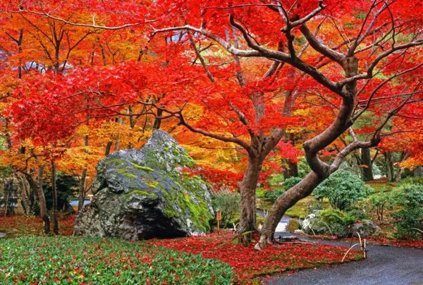 宝厳院