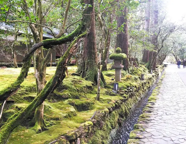 厳かさが感じられる参道