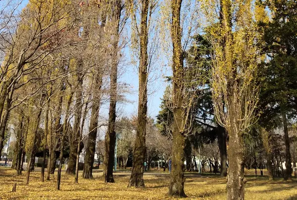 四季折々の自然豊かな公園が心をリフレッシュさせてくれます。