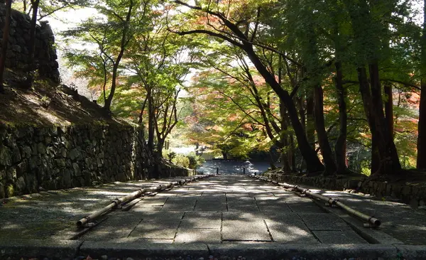 門から見ると…