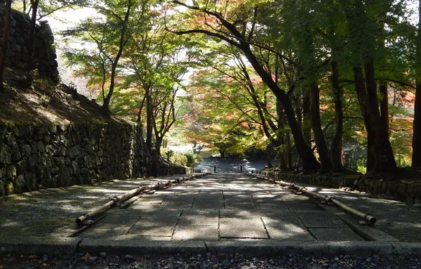 毘沙門堂の写真・動画_image_101017
