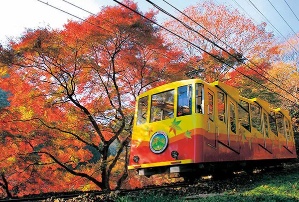 高尾山