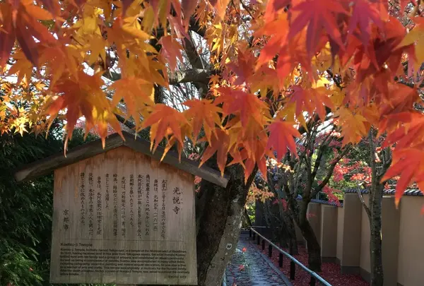 紅葉の参道