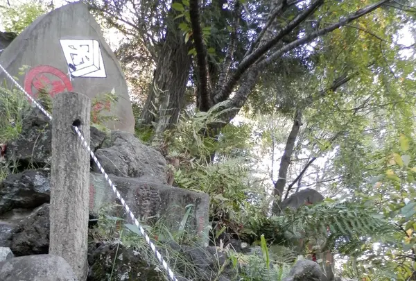 駒込富士神社の写真・動画_image_101271