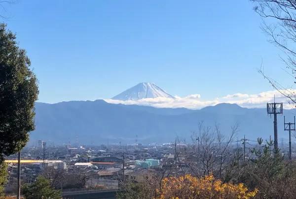 展望台からの眺め