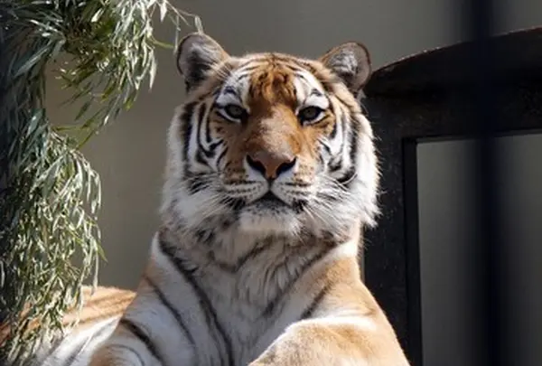 京都市動物園 もうじゅうワールド