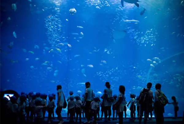 アクアワールド茨城県大洗水族館