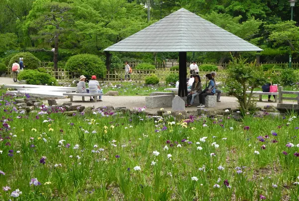 花菖蒲の名所