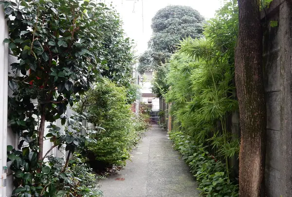 不動通り商店街の路地