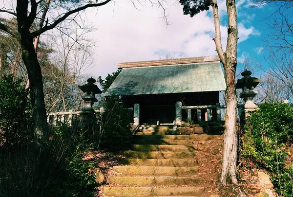 薬師堂の写真・動画_image_161269