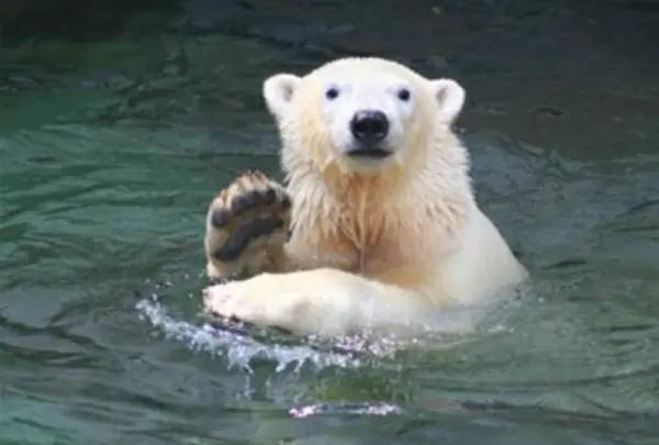 天王寺動物園