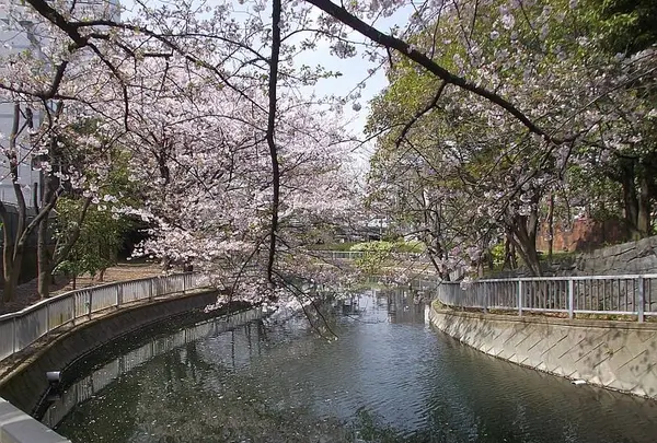 豊住橋（バス）の写真・動画_image_498250