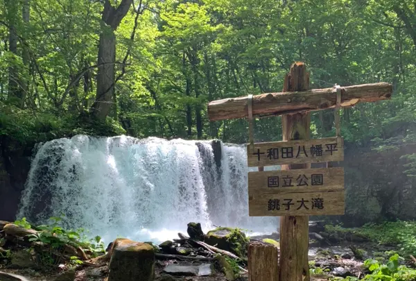 奥入瀬渓流　　の写真・動画_image_669742