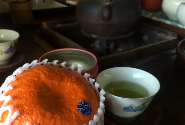 このみ園本舗の写真・動画_image_24648
