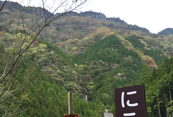 にこ淵の写真・動画_image_131021