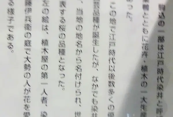 どんなことが書いてあるの?