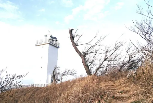 加佐の岬の写真・動画_image_342368