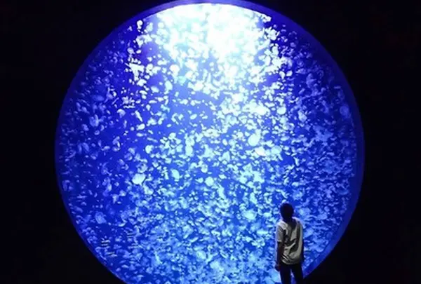 鶴岡市立加茂水族館