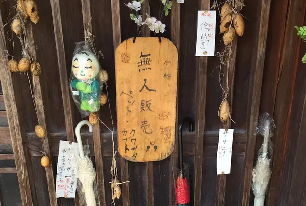 吉野山の写真・動画_image_30214