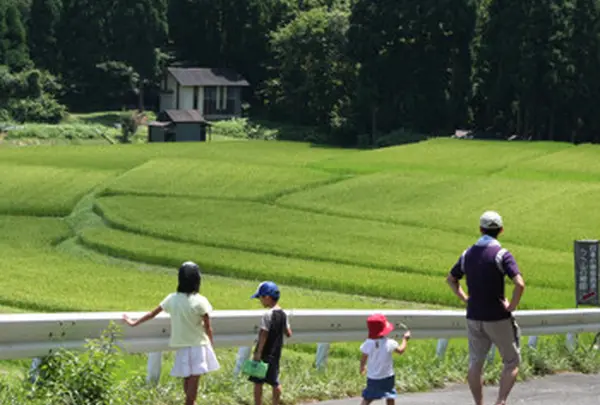 「うへ山」の棚田