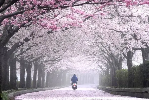 七谷川・和らぎの道