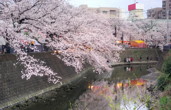 観音橋