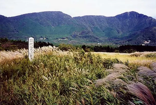 仙石原湿原植物群落