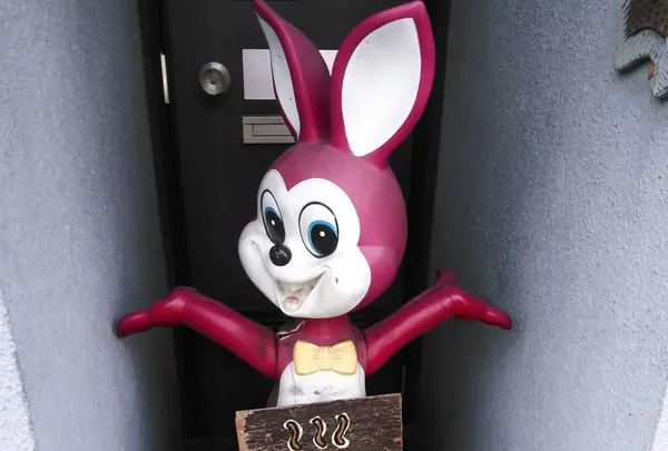 ワンダアカフェの写真・動画_image_241252