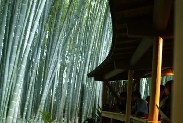 報国寺（竹寺）