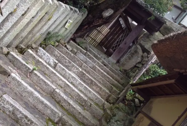 野仏庵の写真・動画_image_174359