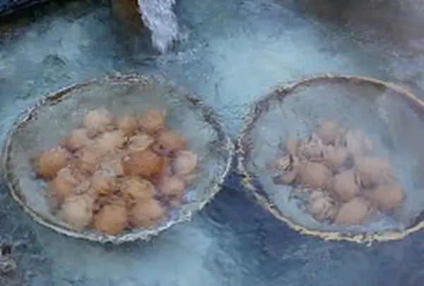 奥飛騨温泉郷 平湯温泉 ひらゆの森の写真・動画_image_396156