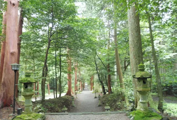 武芸八幡宮の写真・動画_image_78633