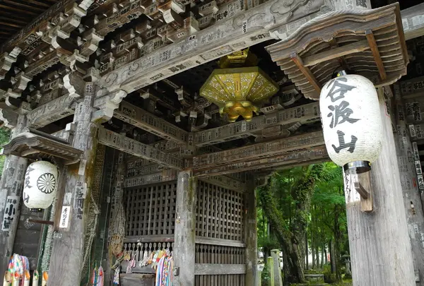 谷汲山華厳寺　節分厄除祈願会の写真・動画_image_126980