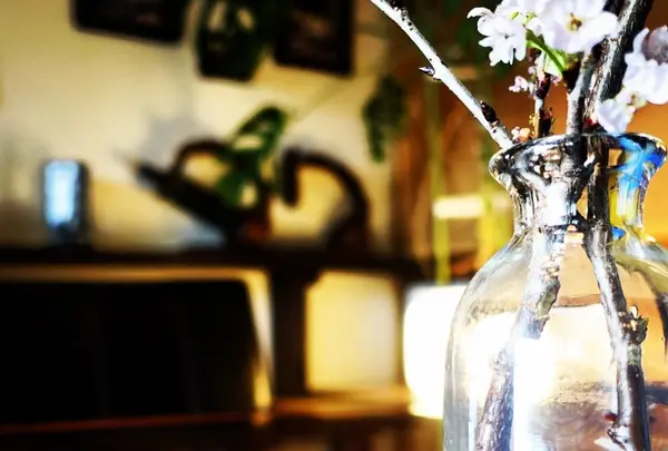 カフェシエスタ HIDAMARI cafe la SIESTA del Sol