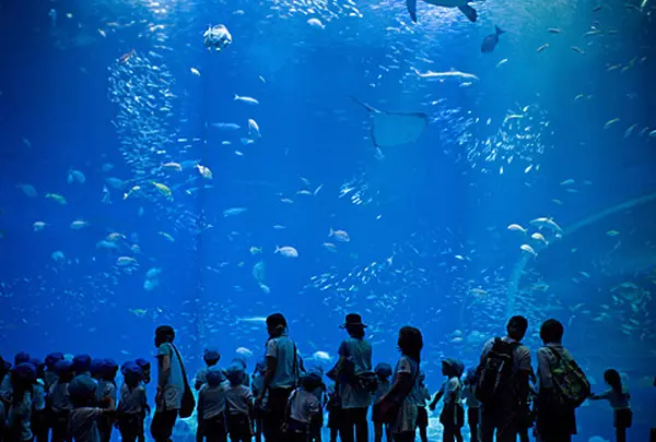 アクアワールド茨城県大洗水族館