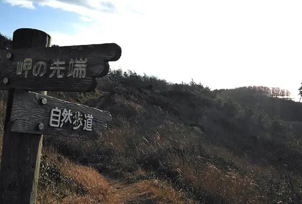 加佐の岬の写真・動画_image_342370