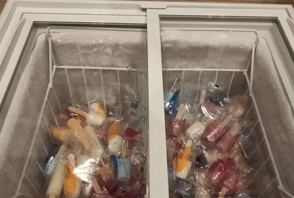 天然温泉紀州の湯ドーミーインPREMIUM和歌山の写真・動画_image_429452